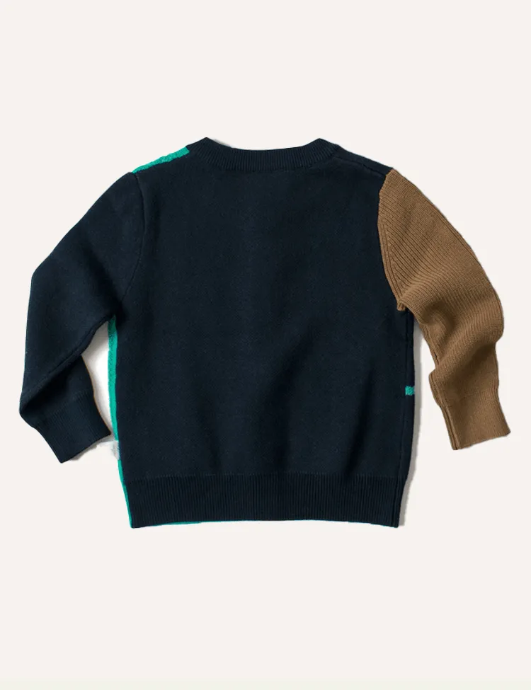 Boy Sweaters Pullover