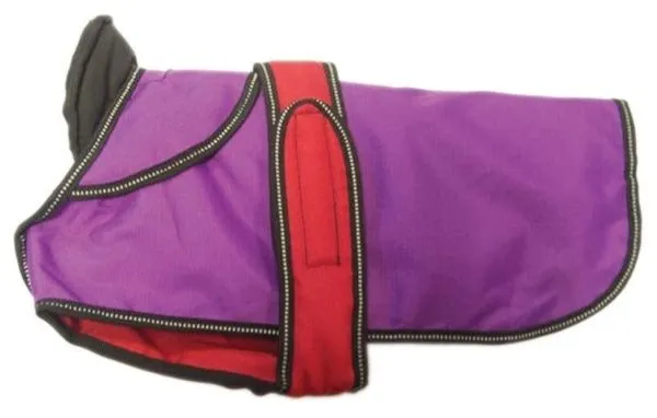 Danish Design 2 In 1 Purple Dog Coat 30cm (12")