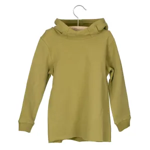 Sweater Hooded Bo Moss Green